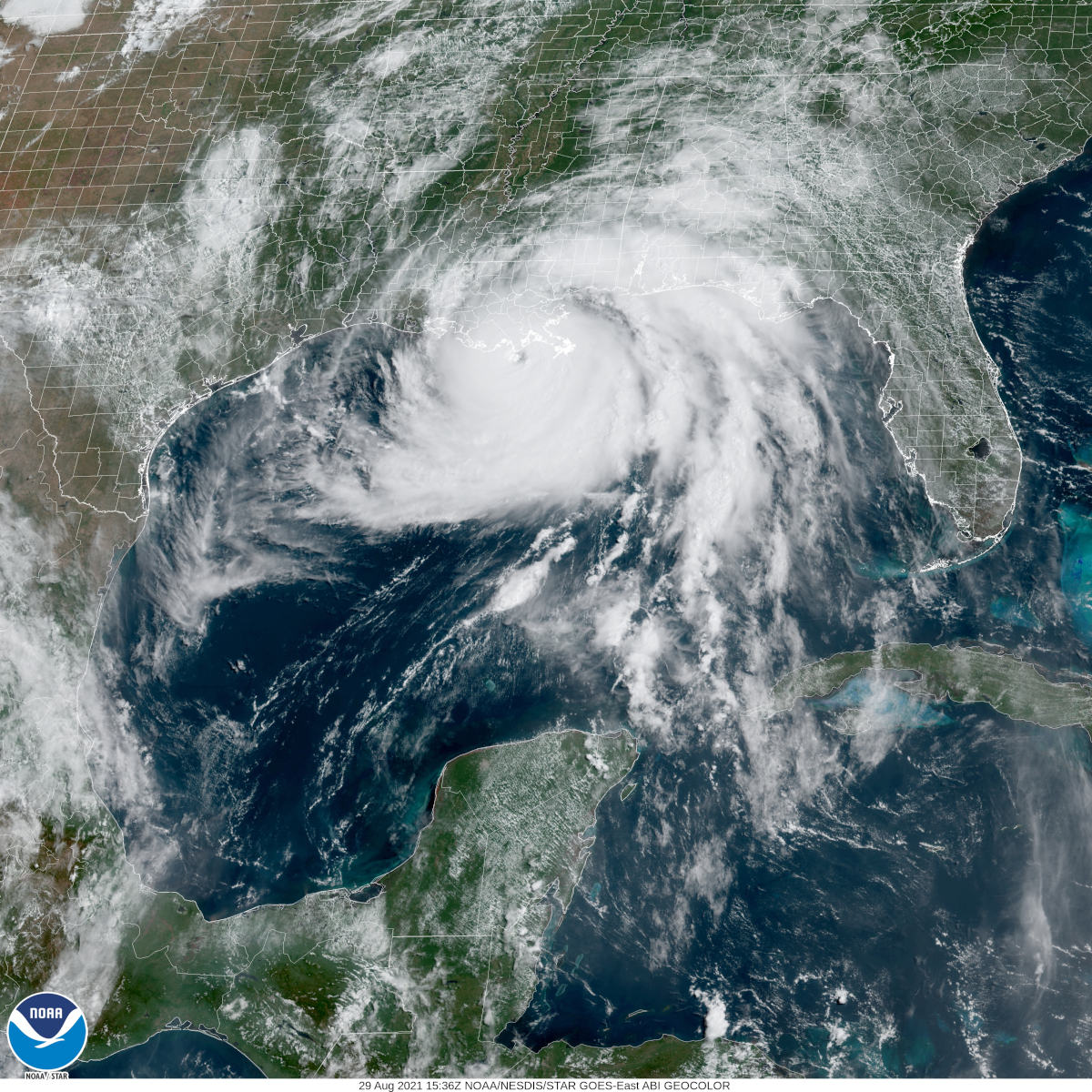 Hurricane Ida Hit Louisiana - 150 MPH Wind 16-ft Surge | Norwall