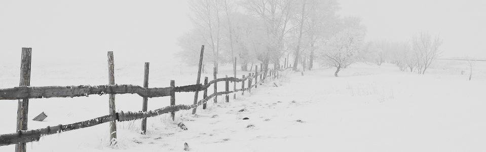 A white-out condition where depth perception is lost as the sky, horizon, and ground blur into one color.